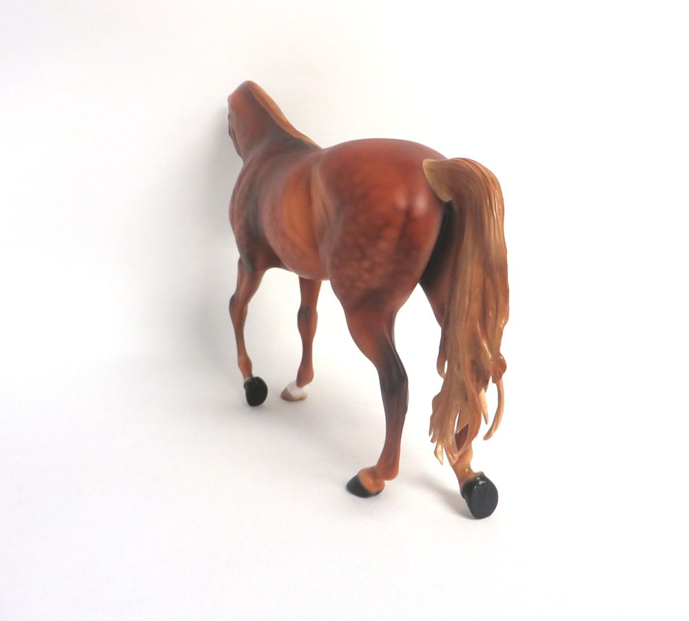 INNISWOOD- LE -13 DAPPLED CHESTNUT WITH FLAXEN MANE AN TAIL BY AUDREY DIXON MW19 EA19