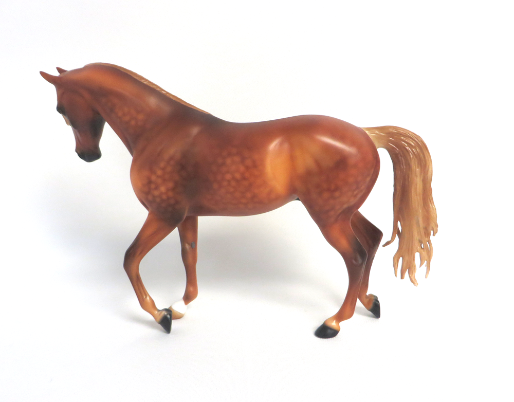 INNISWOOD- LE -13 DAPPLED CHESTNUT WITH FLAXEN MANE AN TAIL BY AUDREY DIXON MW19 EA19