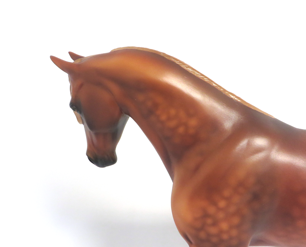 INNISWOOD- LE -13 DAPPLED CHESTNUT WITH FLAXEN MANE AN TAIL BY AUDREY DIXON MW19 EA19