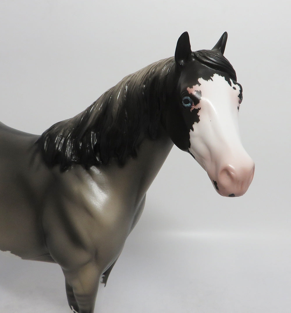 APACHE TEAR-OOAK GRULLA SABINO ISH MODEL HORSE 7/19/18