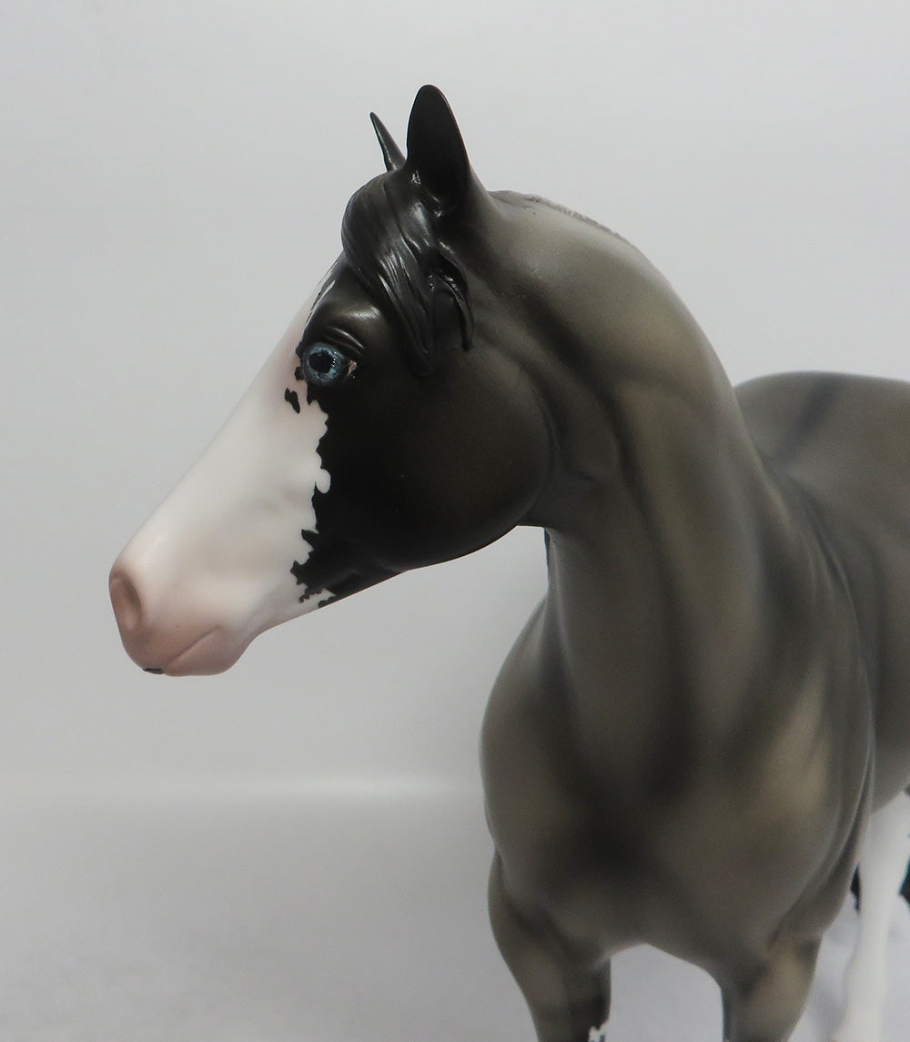 APACHE TEAR-OOAK GRULLA SABINO ISH MODEL HORSE 7/19/18