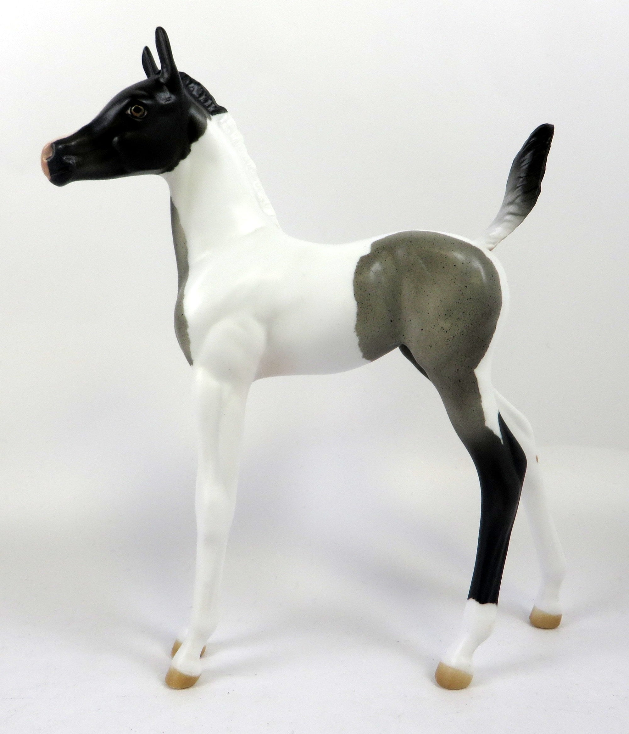 ONLY IN SHOWBIZ-OOAK BLUE PINTO FOAL MODEL HORSE 8/20/19