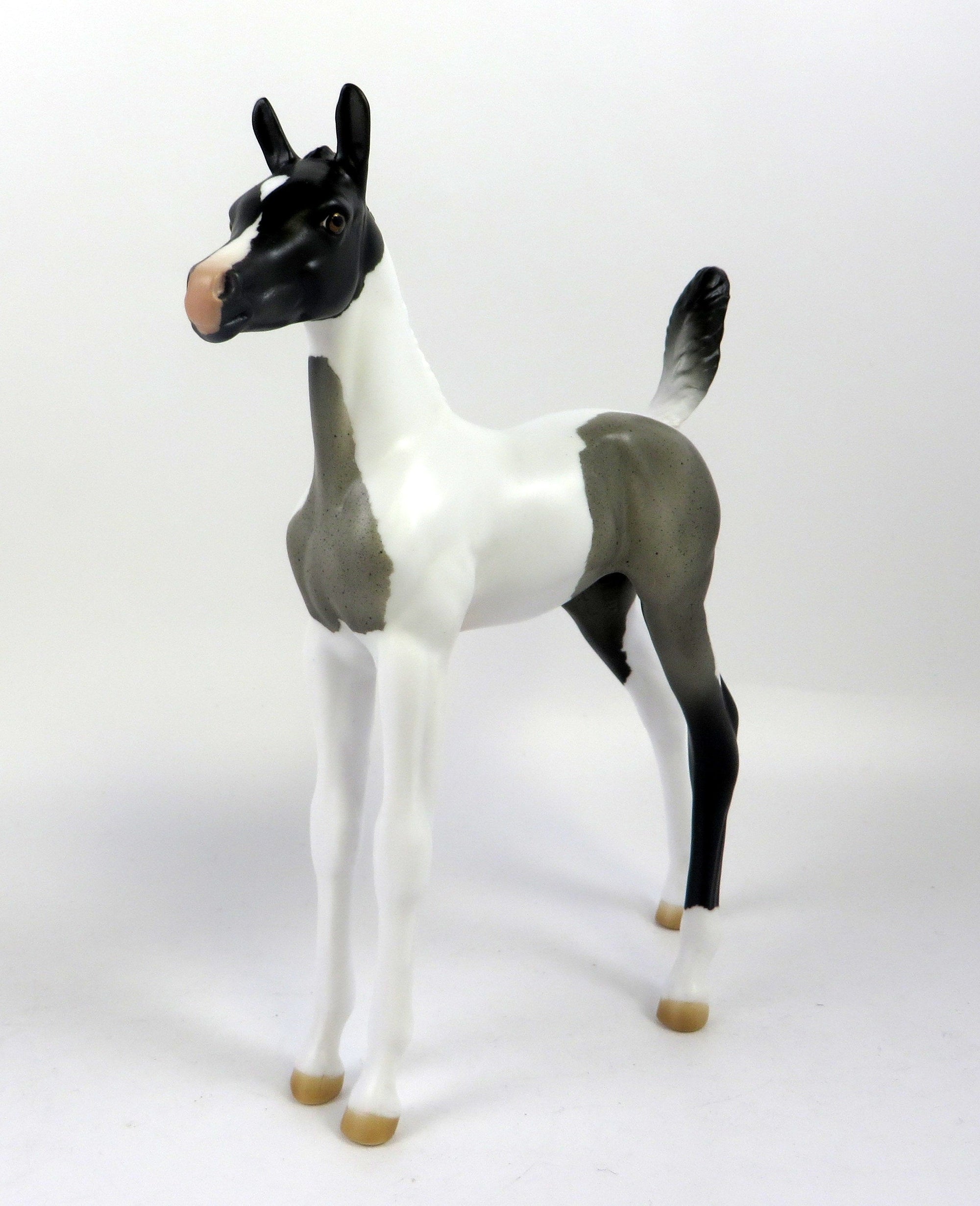 blue roan