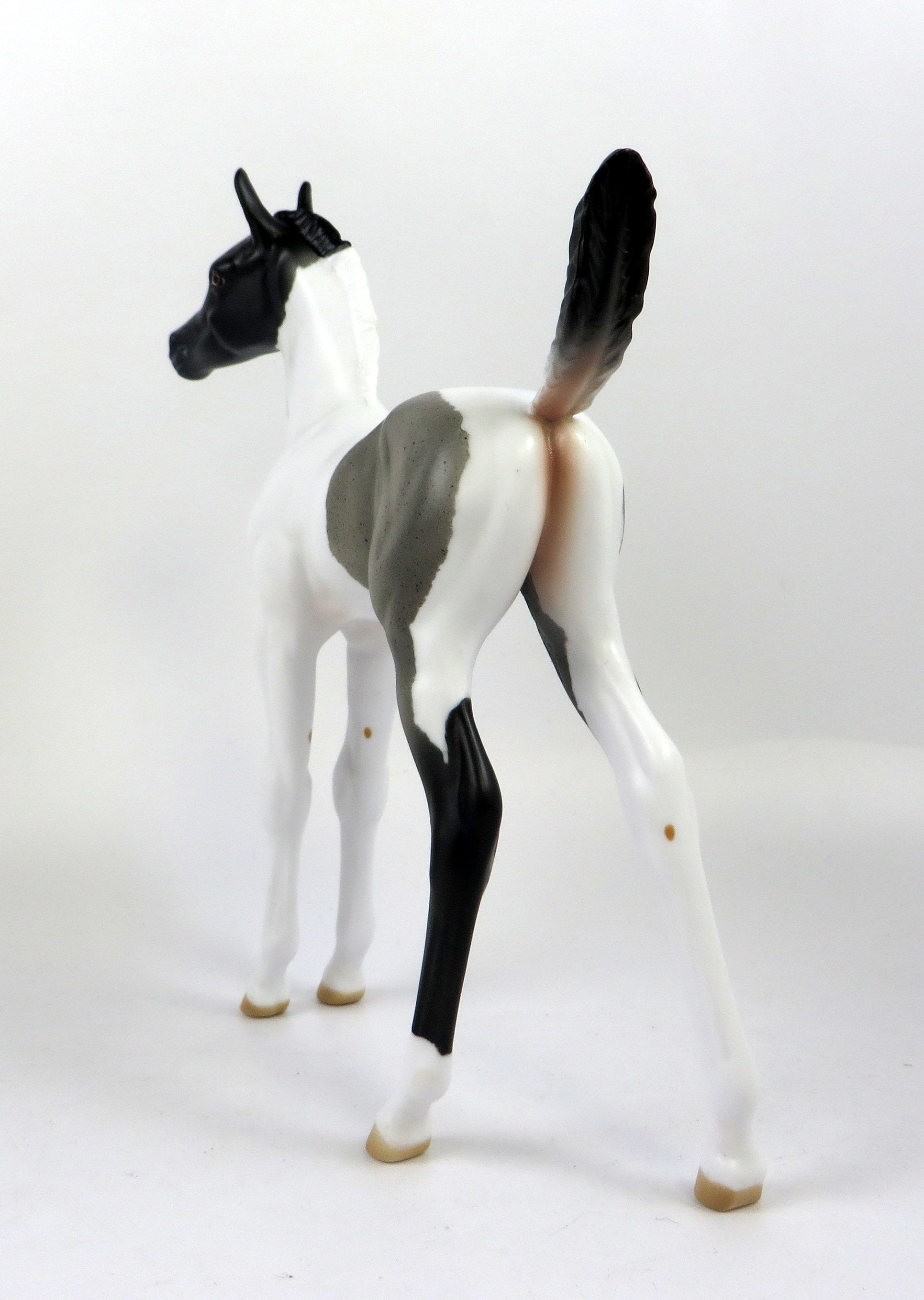 ONLY IN SHOWBIZ-OOAK BLUE PINTO FOAL MODEL HORSE 8/20/19