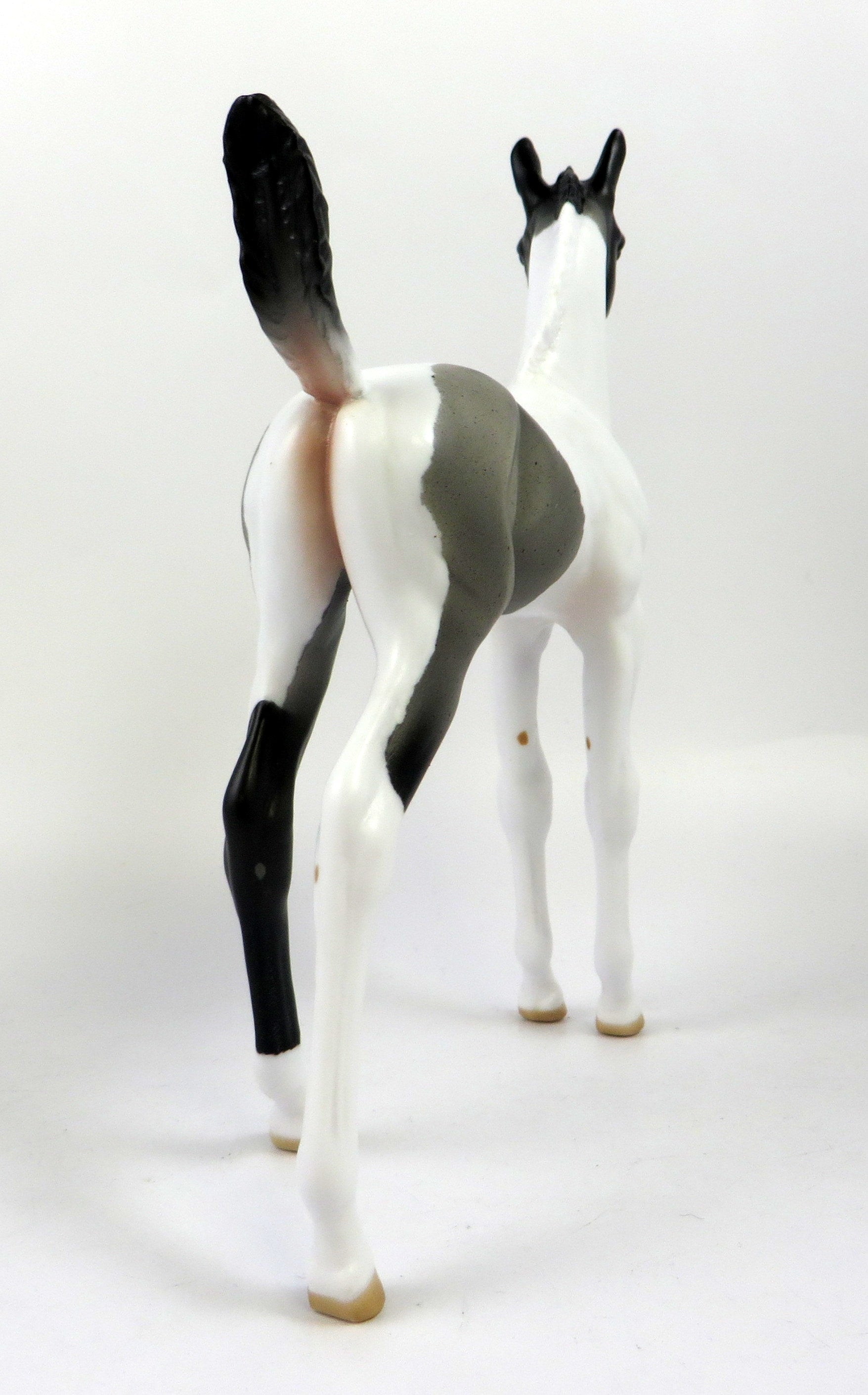 ONLY IN SHOWBIZ-OOAK BLUE PINTO FOAL MODEL HORSE 8/20/19