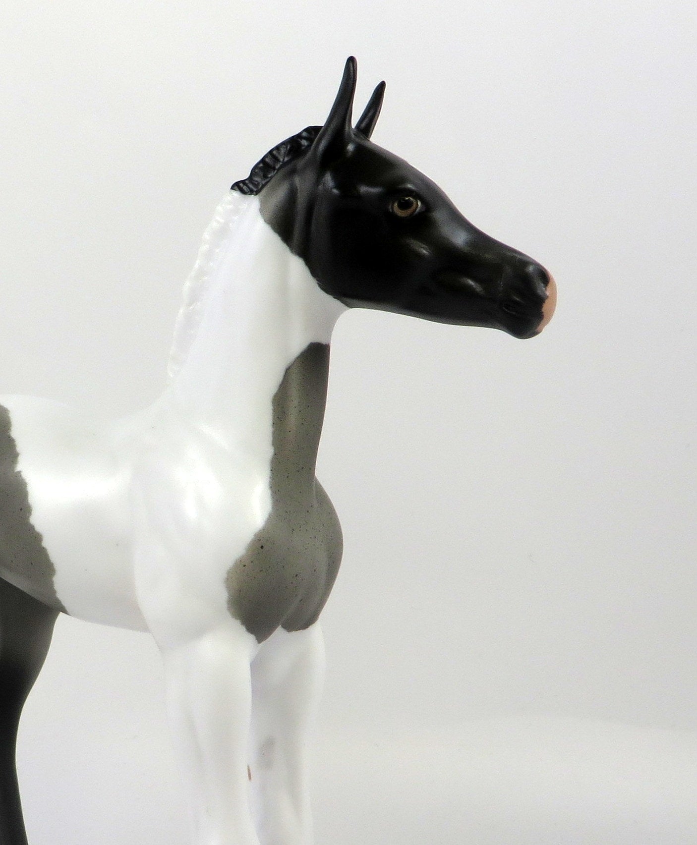 ONLY IN SHOWBIZ-OOAK BLUE PINTO FOAL MODEL HORSE 8/20/19