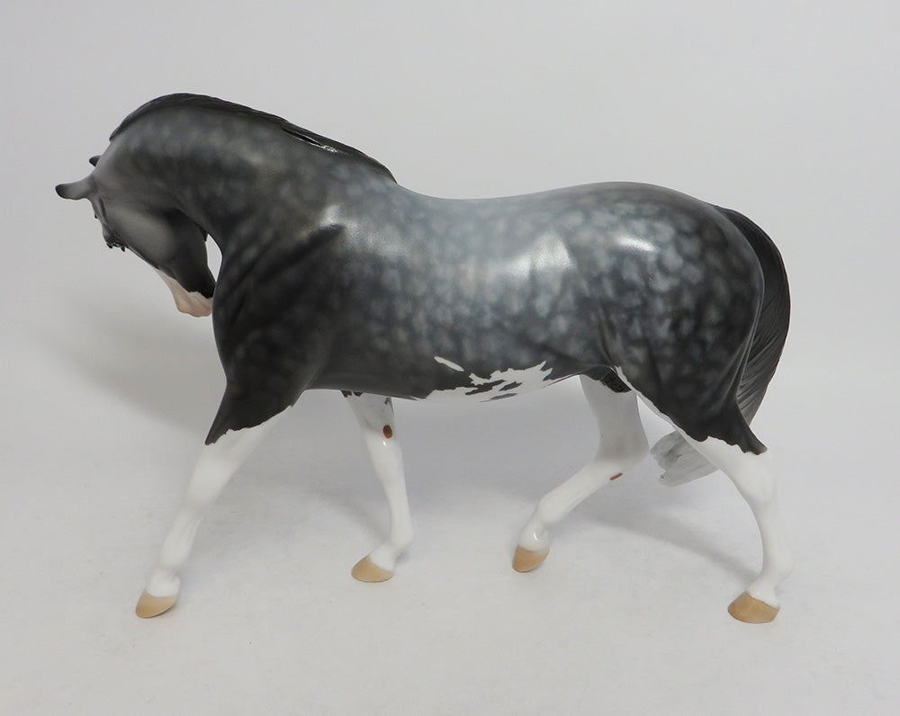 RANIER-OOAK STAR DAPPLE GREY PONY MODEL HORSE BY DAWN QUICK 7/23/18