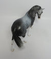 RANIER-OOAK STAR DAPPLE GREY PONY MODEL HORSE BY DAWN QUICK 7/23/18