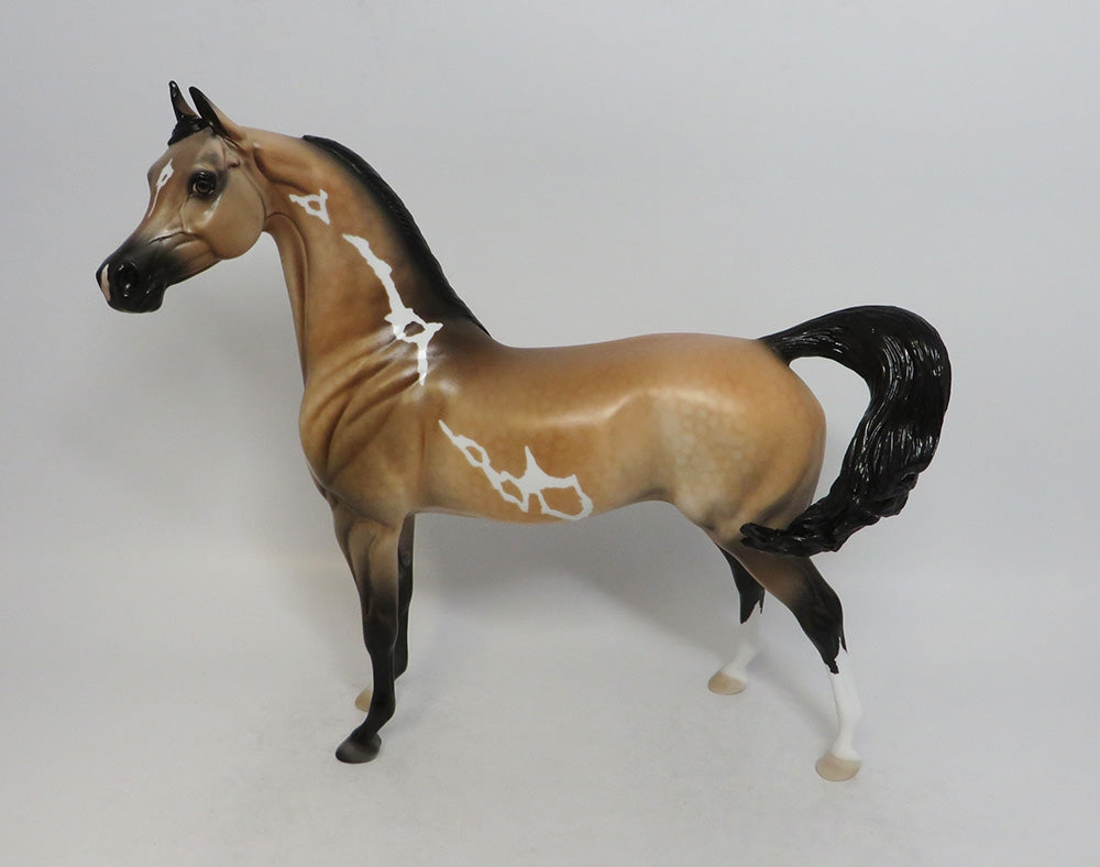 AMIR FARIS- OOAK BUCKSKIN PINTO DAPPLE ARABIAN MODEL HORSE BY DAWN QUICK 2018