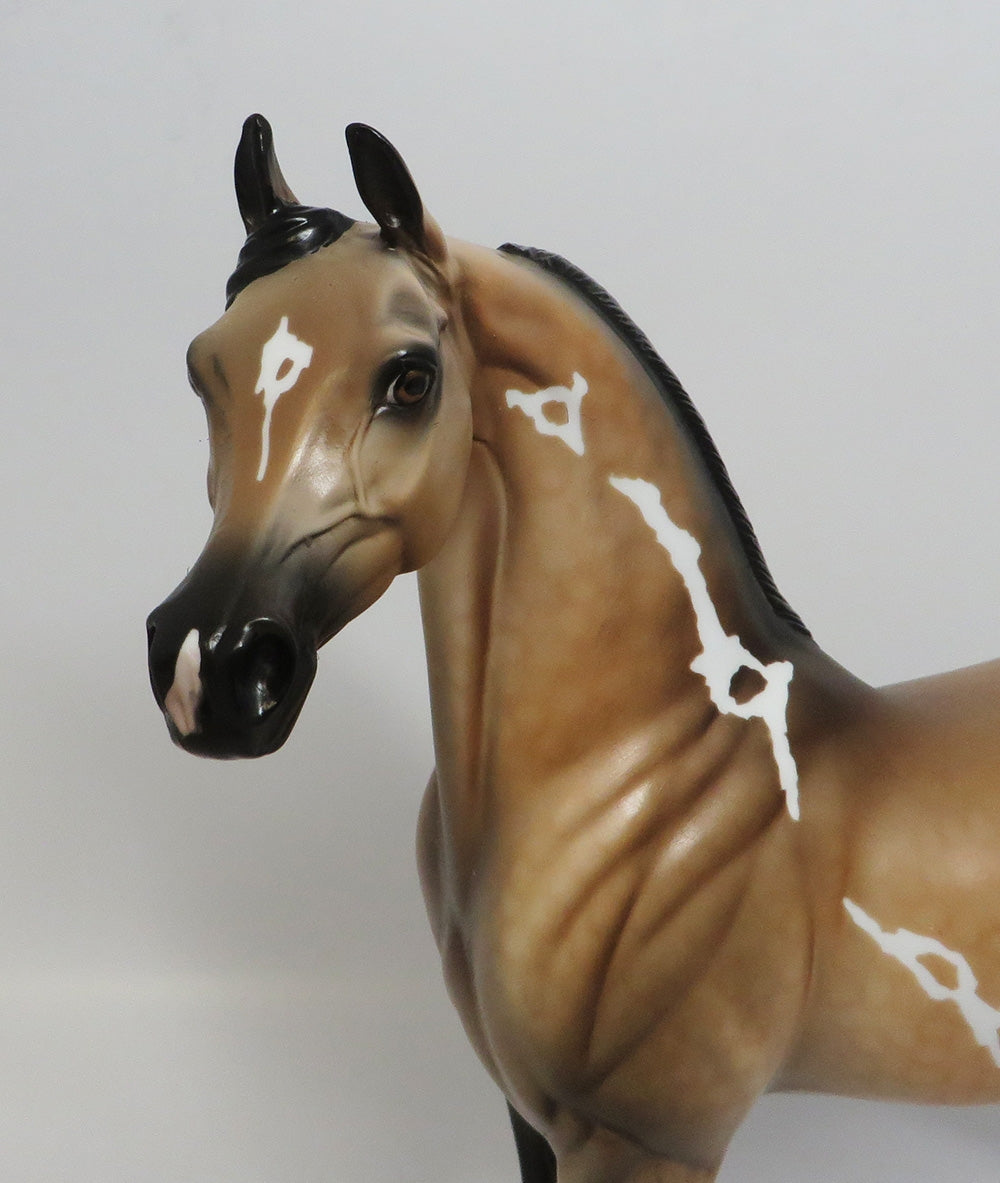 AMIR FARIS- OOAK BUCKSKIN PINTO DAPPLE ARABIAN MODEL HORSE BY DAWN QUICK 2018