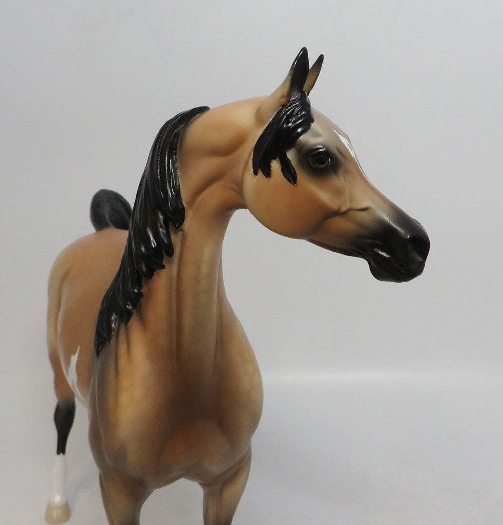 AMIR FARIS- OOAK BUCKSKIN PINTO DAPPLE ARABIAN MODEL HORSE BY DAWN QUICK 2018