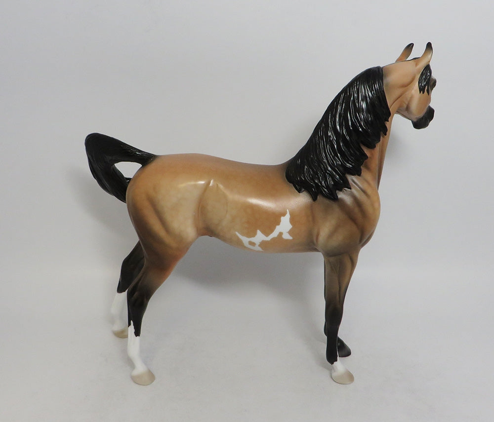 AMIR FARIS- OOAK BUCKSKIN PINTO DAPPLE ARABIAN MODEL HORSE BY DAWN QUICK 2018