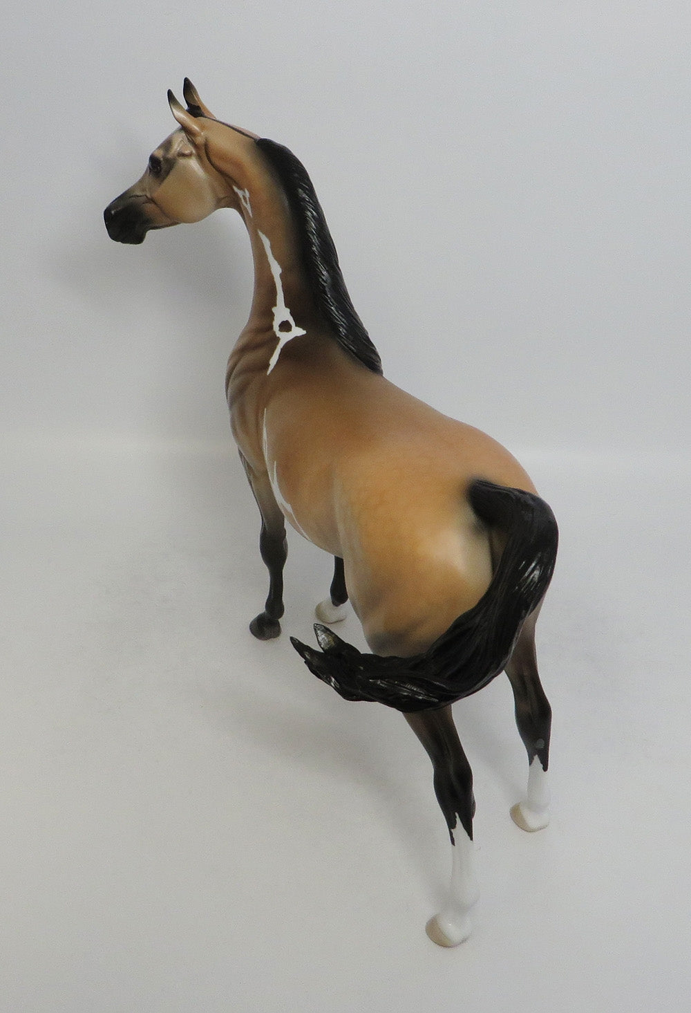 AMIR FARIS- OOAK BUCKSKIN PINTO DAPPLE ARABIAN MODEL HORSE BY DAWN QUICK 2018