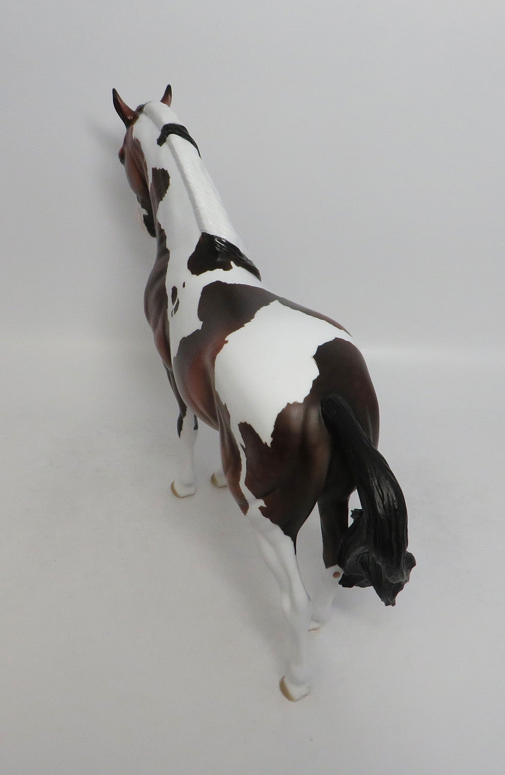 MODESTO-OOAK DAPPLE BAY PINTO ANDALSUIAN MODEL HORSE 7/24/18