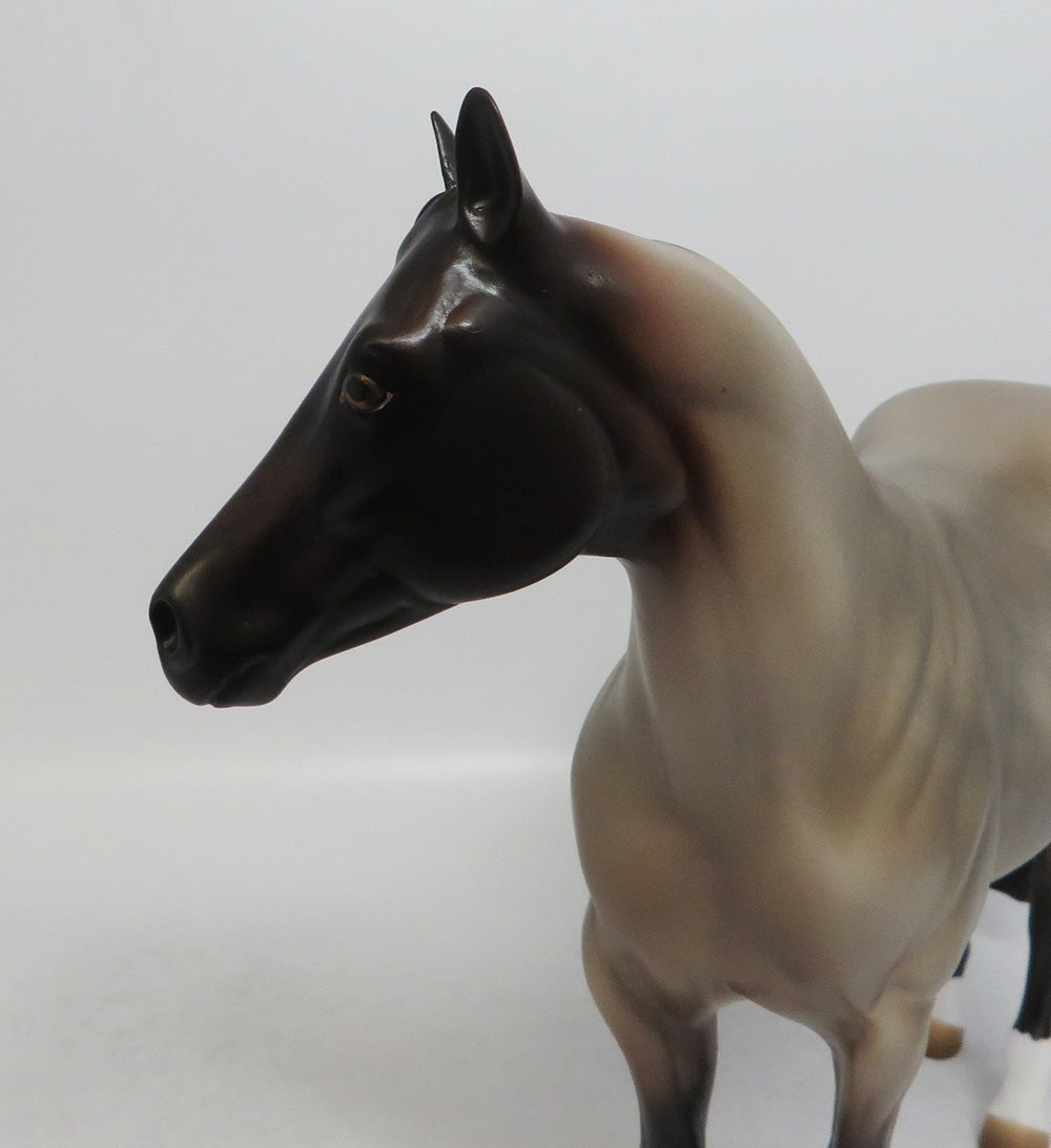 A TOUCH OF GOSSIP-LE-14 BAY ROAN ISH MODEL HORSE 7/26/18