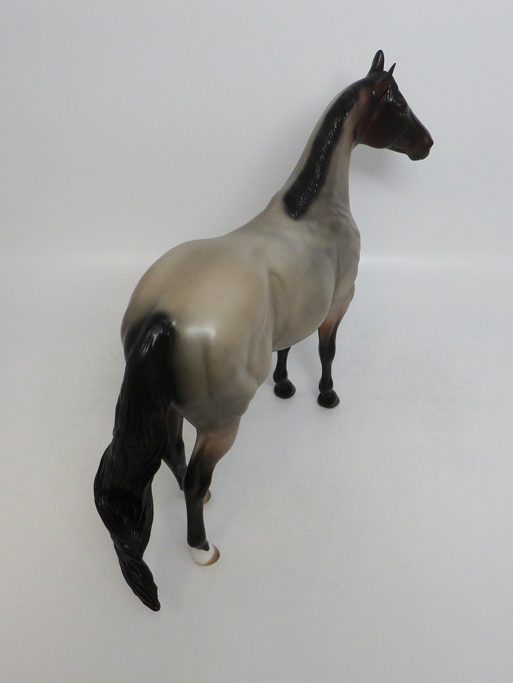 A TOUCH OF GOSSIP-LE-14 BAY ROAN ISH MODEL HORSE 7/26/18