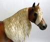 WEKNOWHESKNOT-OOAK DAPPLE PALOMINO ISH MODEL HORSE BY MISSY FOX 8/22/19