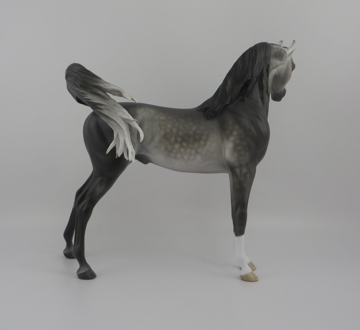 Alter Ego-Dapple Grey Arabian By Sheryl Leisure 8/20/20