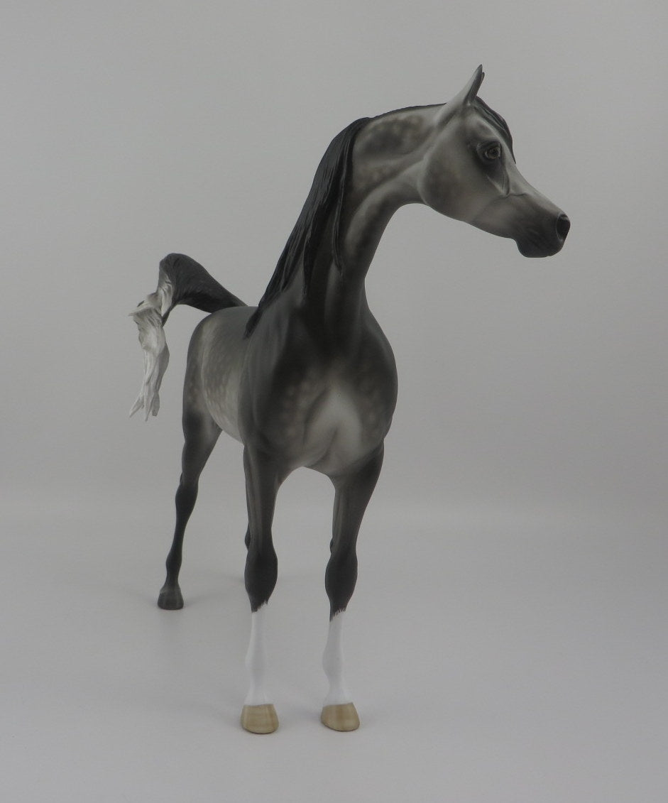Alter Ego-Dapple Grey Arabian By Sheryl Leisure 8/20/20