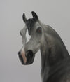 Alter Ego-Dapple Grey Arabian By Sheryl Leisure 8/20/20