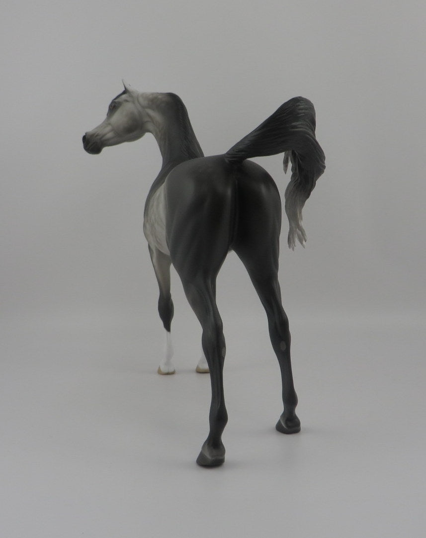 Alter Ego-Dapple Grey Arabian By Sheryl Leisure 8/20/20