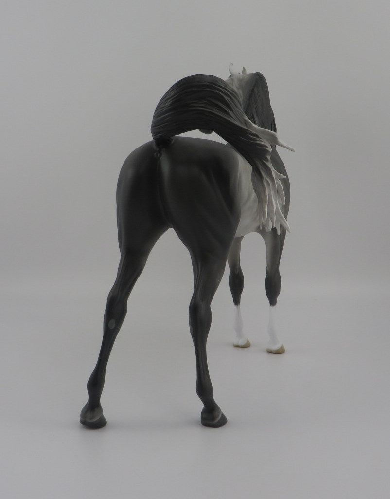 Alter Ego-Dapple Grey Arabian By Sheryl Leisure 8/20/20