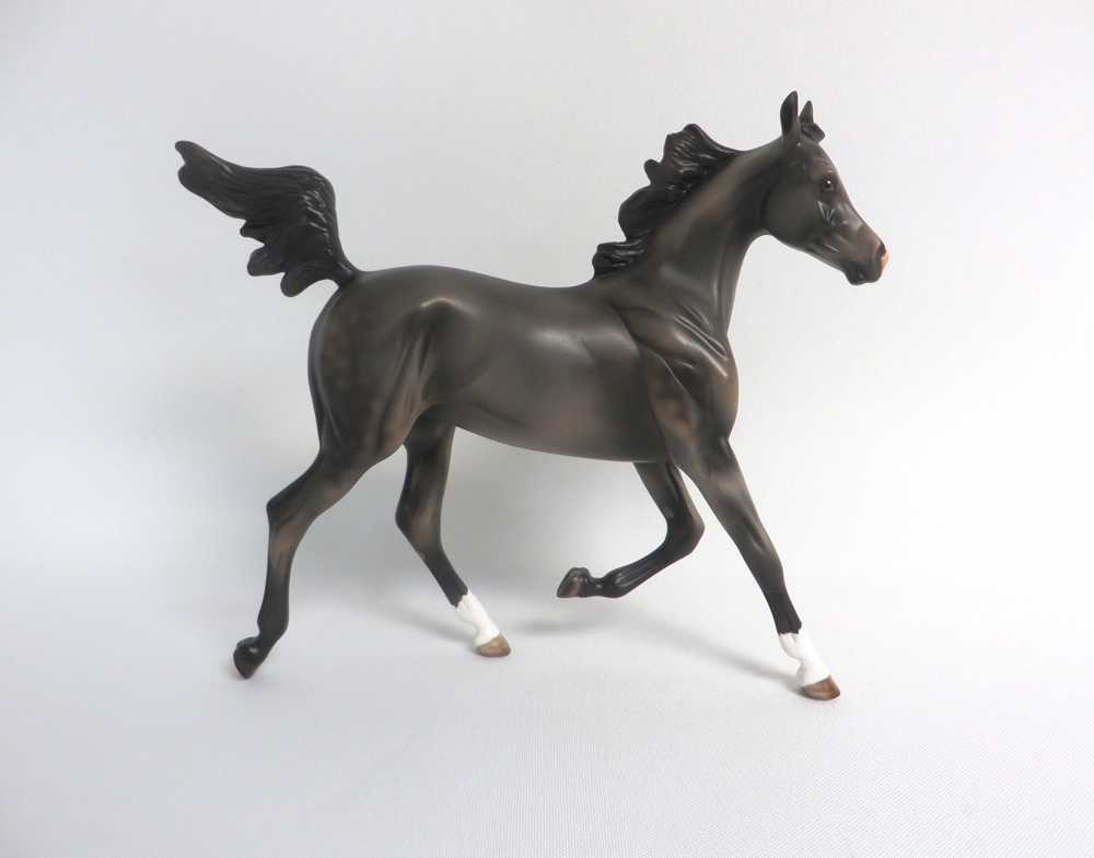 HARRY TROTTER- LE-5 DARK GREY YEARLING BY MISSY FOX MW19 EA19