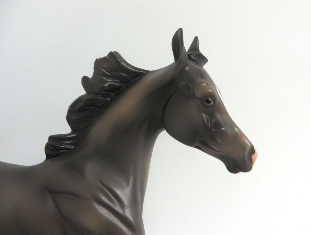 HARRY TROTTER- LE-5 DARK GREY YEARLING BY MISSY FOX MW19 EA19