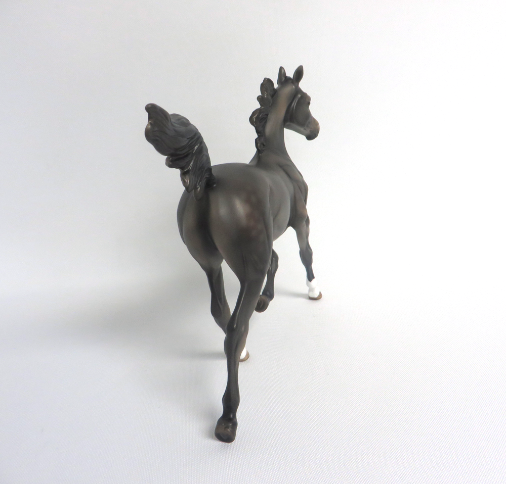 HARRY TROTTER- LE-5 DARK GREY YEARLING BY MISSY FOX MW19 EA19