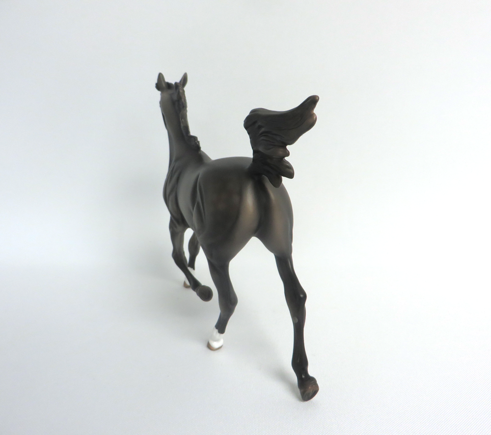 HARRY TROTTER- LE-5 DARK GREY YEARLING BY MISSY FOX MW19 EA19