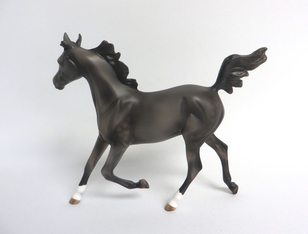 HARRY TROTTER- LE-5 DARK GREY YEARLING BY MISSY FOX MW19 EA19