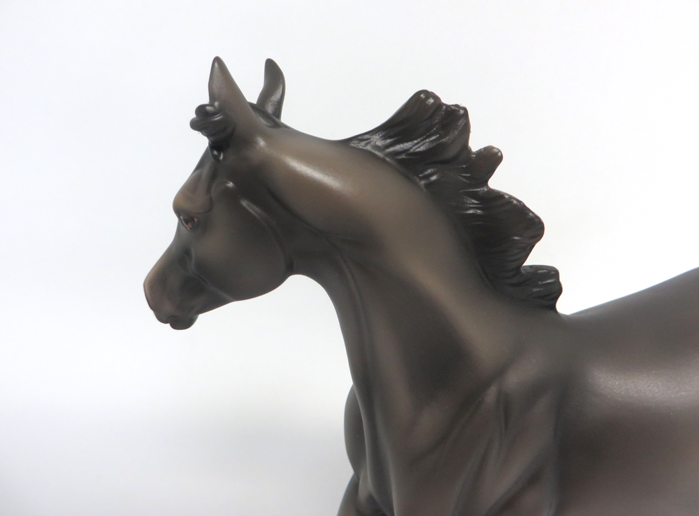 HARRY TROTTER- LE-5 DARK GREY YEARLING BY MISSY FOX MW19 EA19