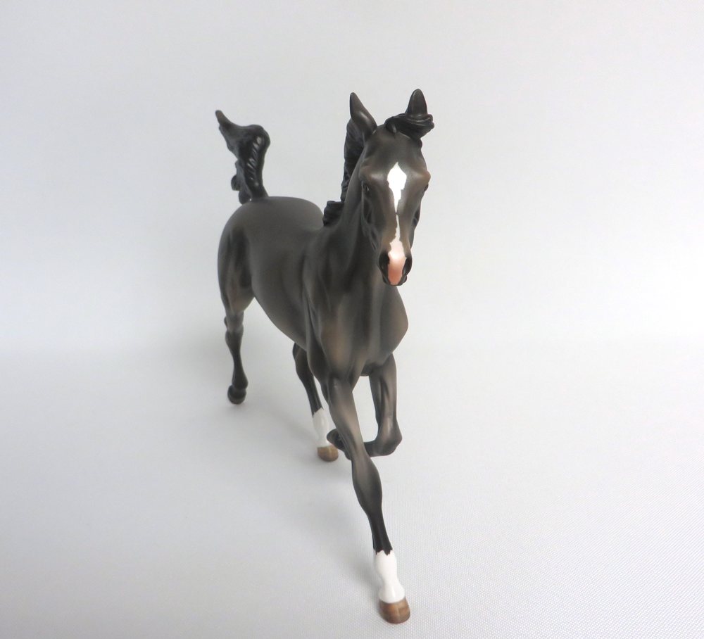 HARRY TROTTER- LE-5 DARK GREY YEARLING BY MISSY FOX MW19 EA19