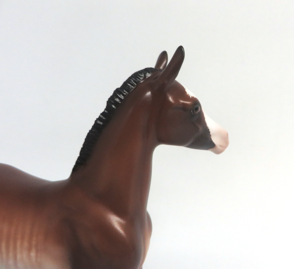 SALLY-OOAK BAY RABICANO FOAL BY SHERYL LEISURE 3/29/19