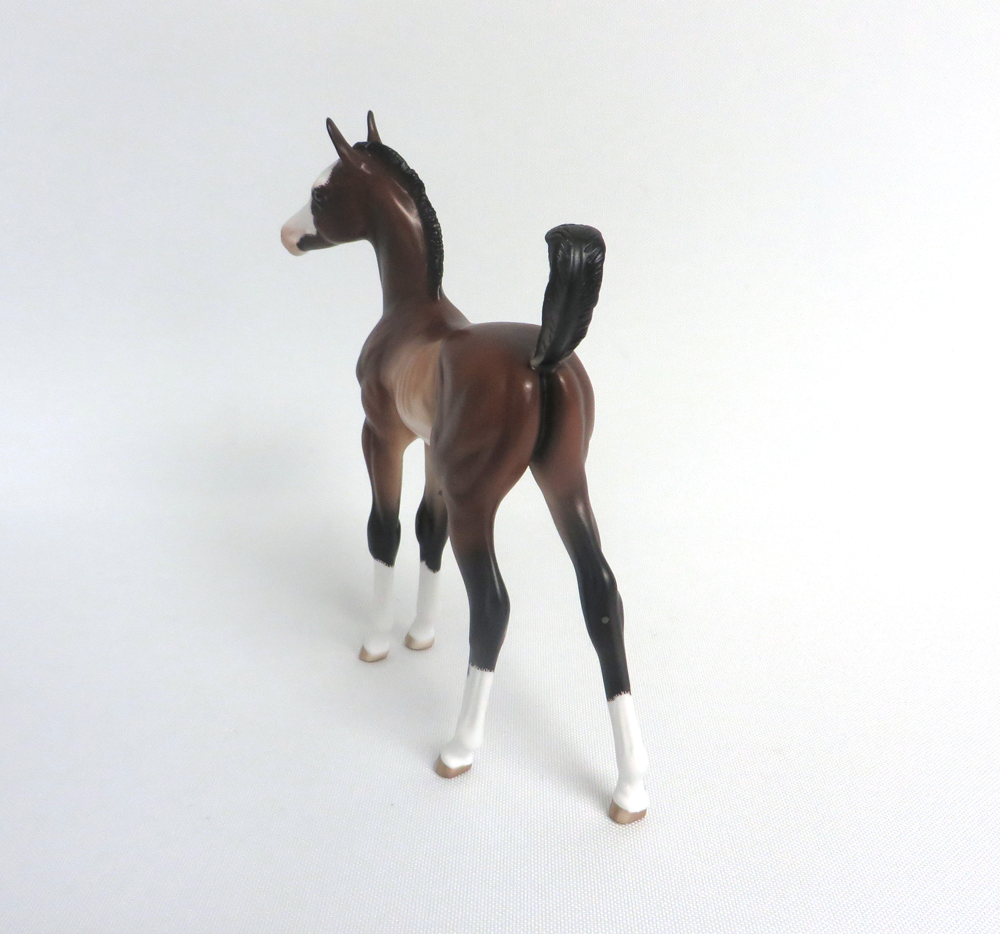 SALLY-OOAK BAY RABICANO FOAL BY SHERYL LEISURE 3/29/19