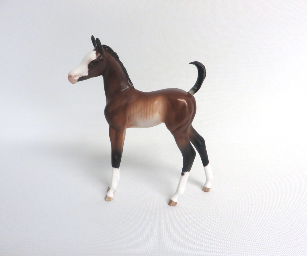 SALLY-OOAK BAY RABICANO FOAL BY SHERYL LEISURE 3/29/19