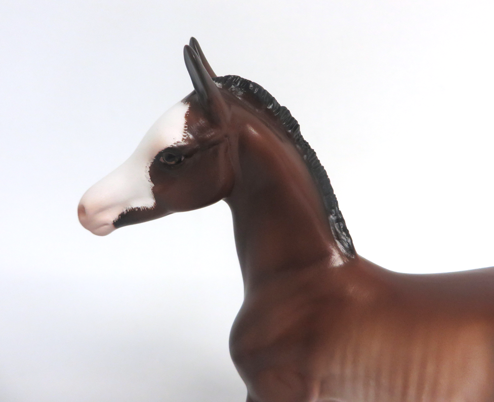 SALLY-OOAK BAY RABICANO FOAL BY SHERYL LEISURE 3/29/19