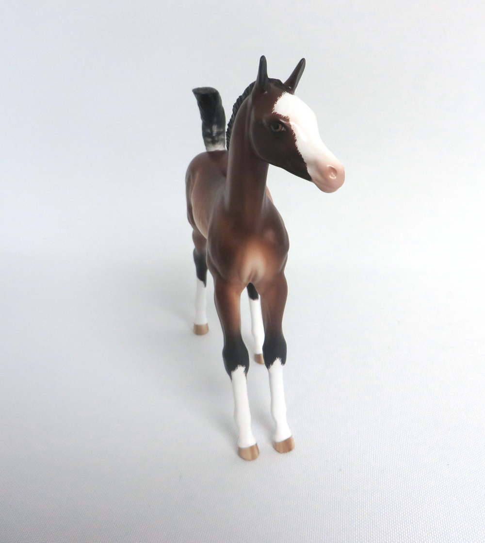 SALLY-OOAK BAY RABICANO FOAL BY SHERYL LEISURE 3/29/19