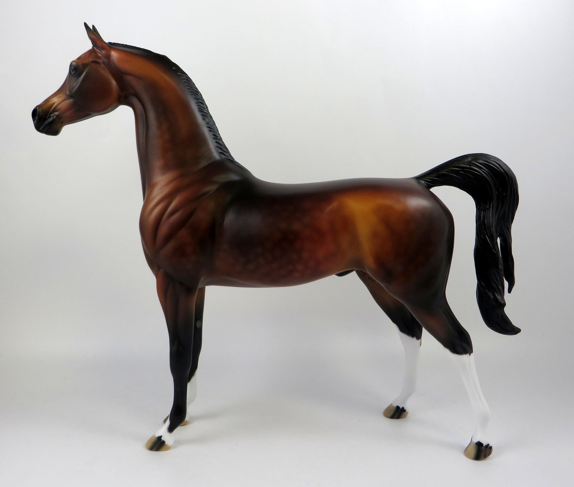 arabian