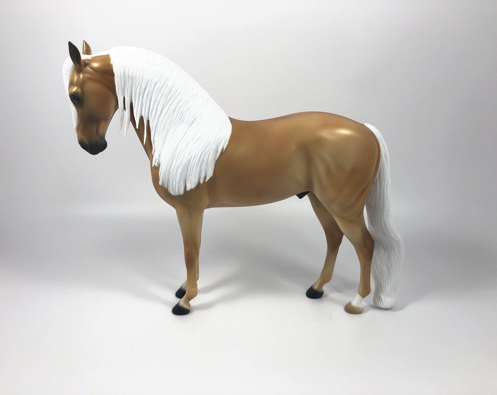 SPANISH DANCER-LE-15 GOLDEN PALOMINO ANDALUSIAN SHCF 2019