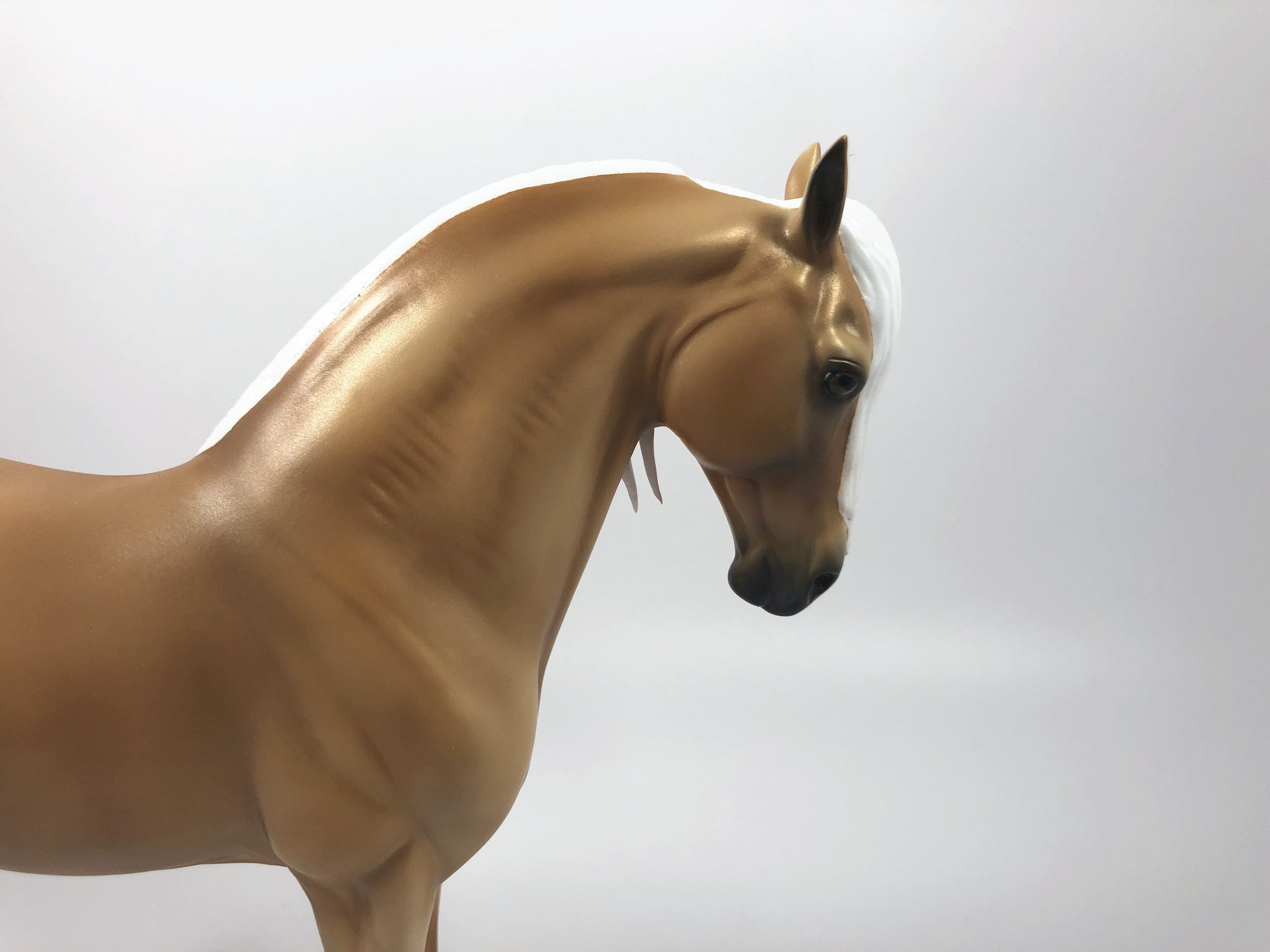 SPANISH DANCER-LE-15 GOLDEN PALOMINO ANDALUSIAN SHCF 2019