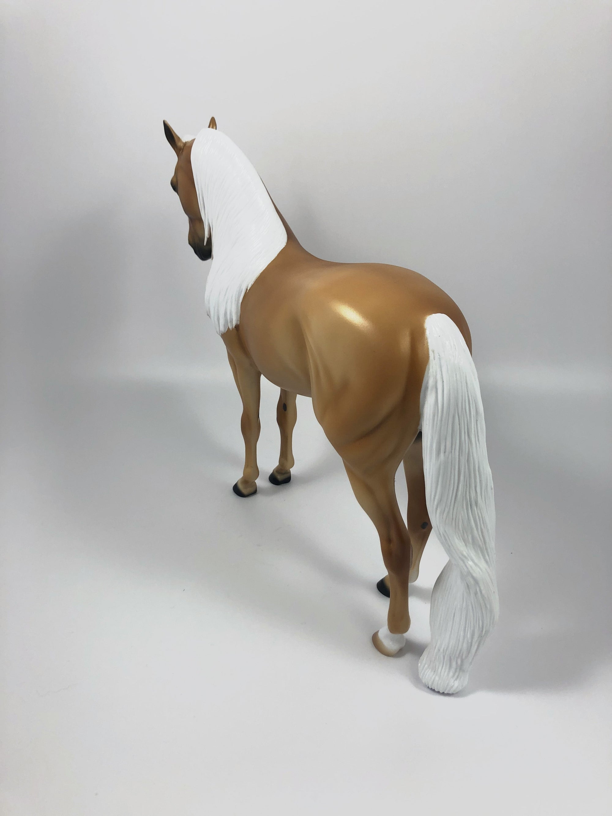 SPANISH DANCER-LE-15 GOLDEN PALOMINO ANDALUSIAN SHCF 2019