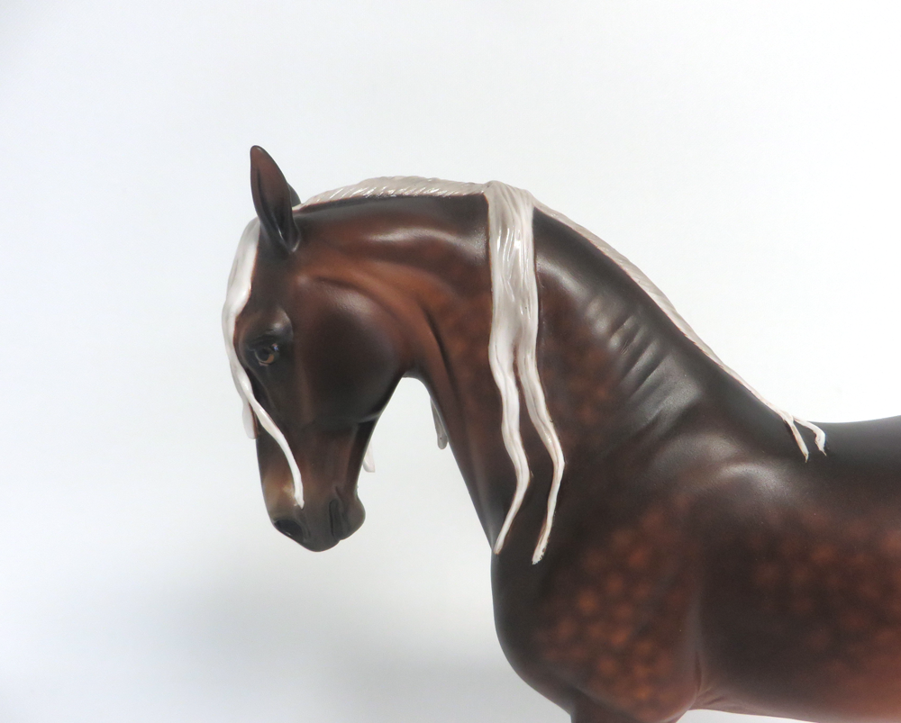 ROBERT-- OOAK DAPPLED LIVER CHESTNUT ANDY BY SHERYL LEISURE 3-29-19