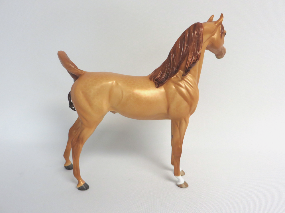 SAM -- OOAK DAPPLED AMBER CHAMPAGNE  ARABIAN BY SHERYL LEISURE 3-29-15