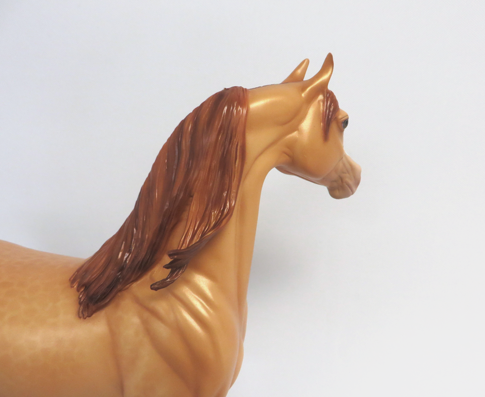 SAM -- OOAK DAPPLED AMBER CHAMPAGNE  ARABIAN BY SHERYL LEISURE 3-29-15