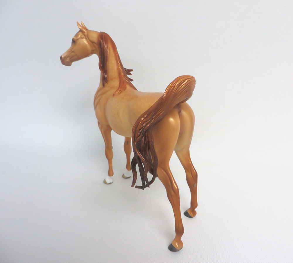 SAM -- OOAK DAPPLED AMBER CHAMPAGNE  ARABIAN BY SHERYL LEISURE 3-29-15