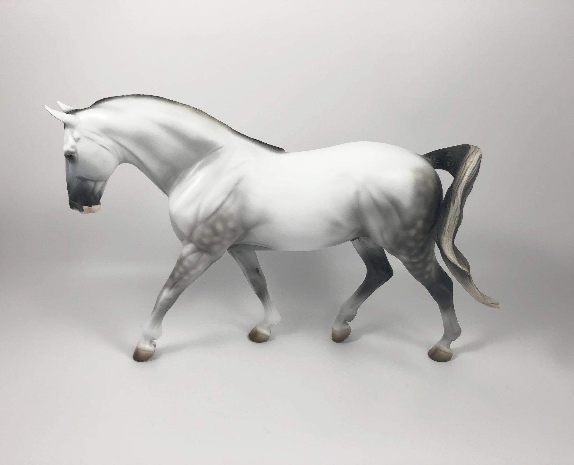 TARTAN-LE-15 DAPPLE GREY IRISH DRAFT MODEL HORSE SHCF 19