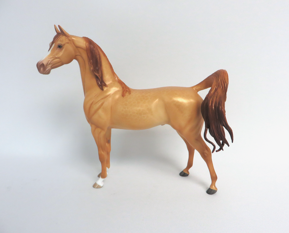 SAM -- OOAK DAPPLED AMBER CHAMPAGNE  ARABIAN BY SHERYL LEISURE 3-29-15