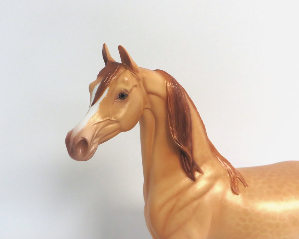 SAM -- OOAK DAPPLED AMBER CHAMPAGNE  ARABIAN BY SHERYL LEISURE 3-29-15