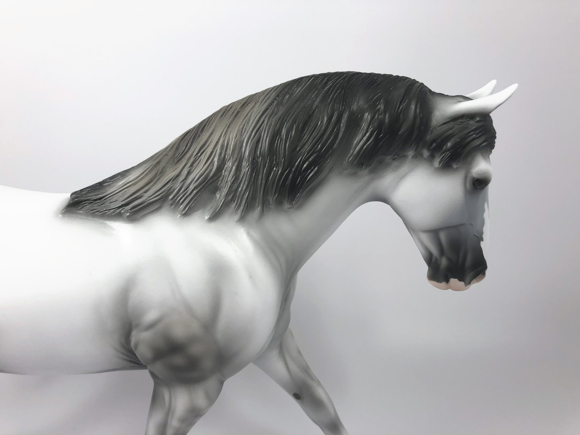 TARTAN-LE-15 DAPPLE GREY IRISH DRAFT MODEL HORSE SHCF 19